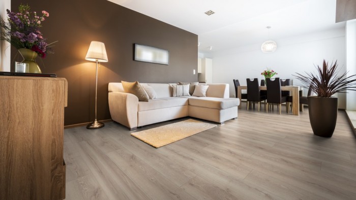 Дъб Планински Бежов