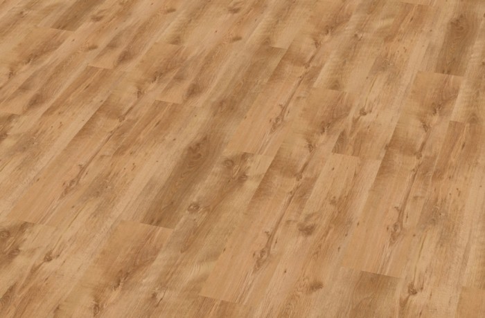 Дъб Състарен