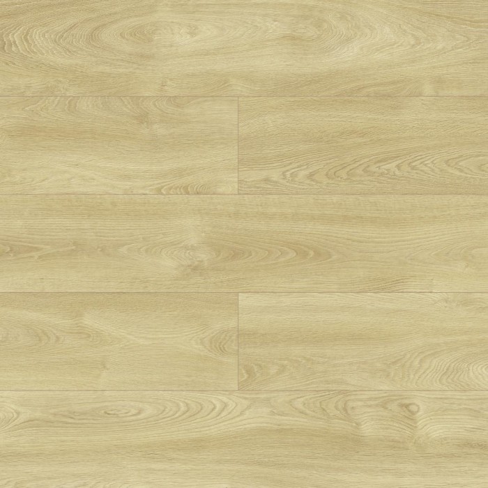 Dominican oak