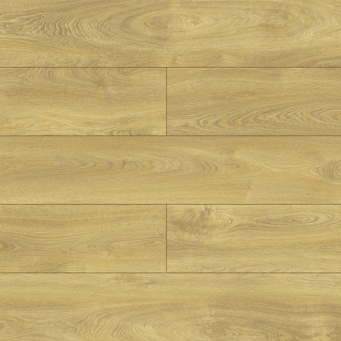 Mauritius oak