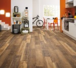 Doubloon Oak