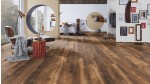 Doubloon Oak
